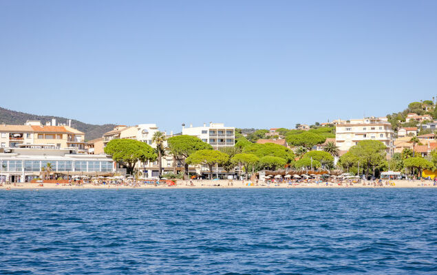 Les Côteaux du Préconil - Photo 32