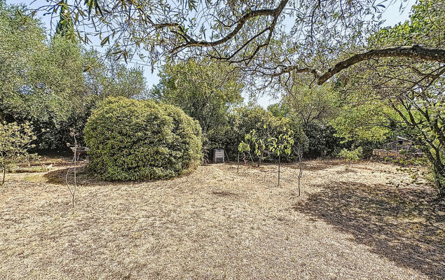 Les Olivettes - Photo 59