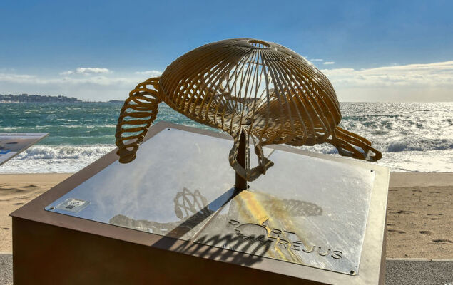 Le Capitole - Photo 25