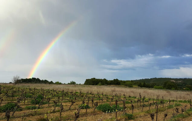 Pleine Vue sur Mer - Photo 25
