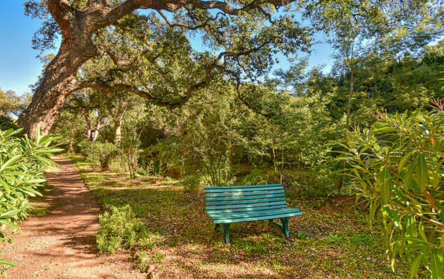 Le Capricorne - Photo 5