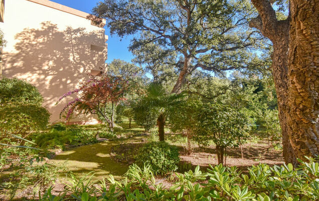 Le Capricorne - Photo 22