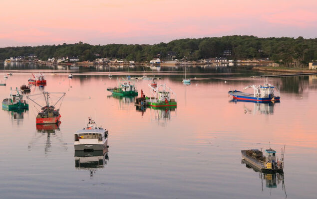 Le Voulien - Photo 20