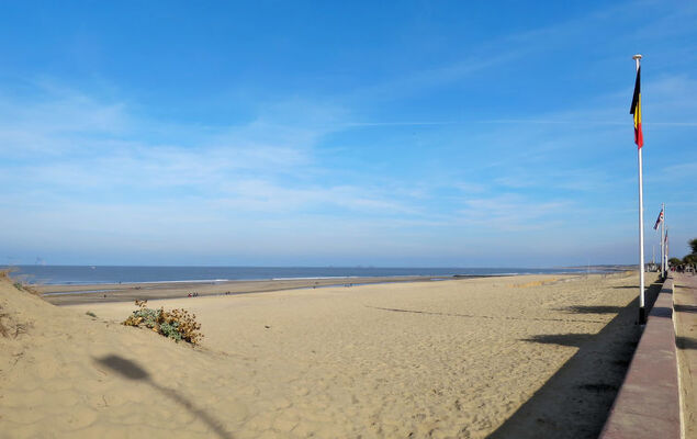 Petite Ensouleihado - Photo 25