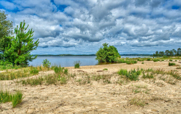 Les Landaises - Photo 24