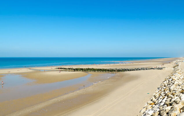 Les Landaises - Photo 29