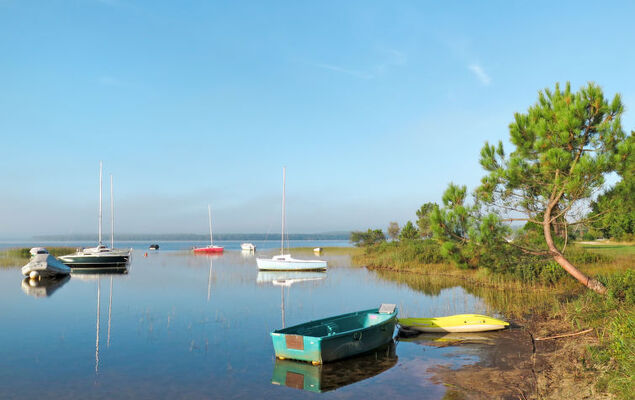 Les Landaises - Photo 30