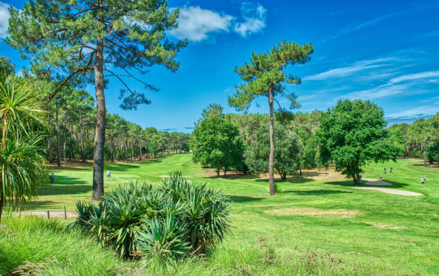 Cottage Etoile de mer - Photo 19