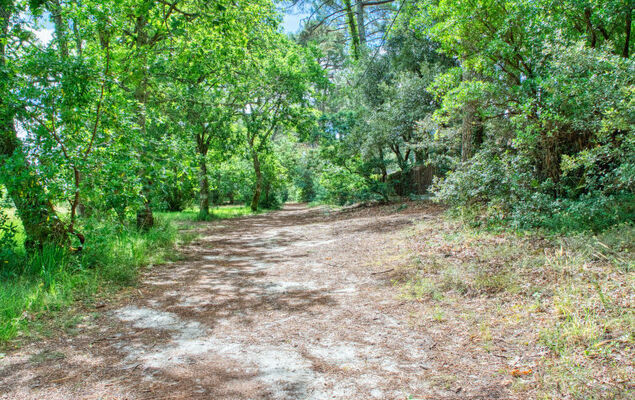 Cottage Etoile de mer - Photo 44