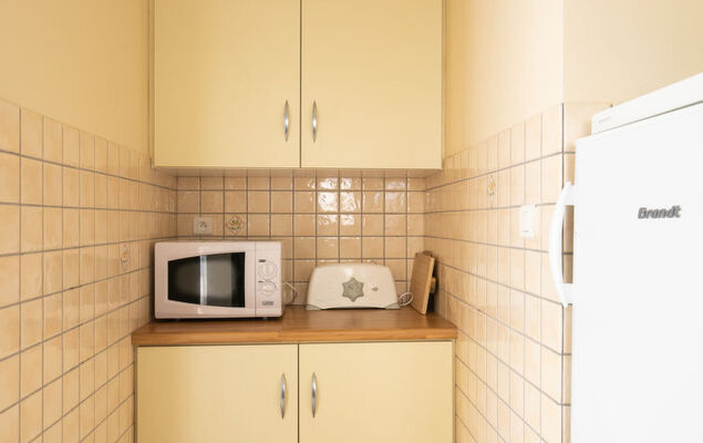 Hortensias 1 - Photo 11