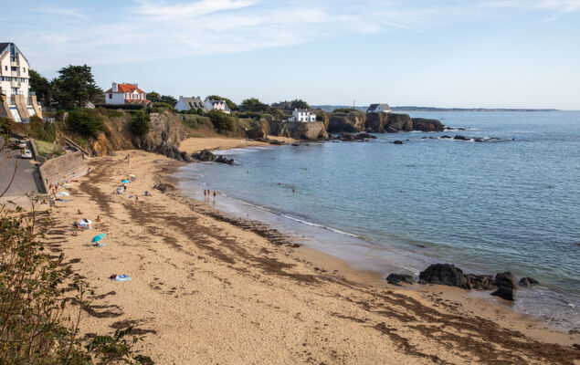 Hortensias 1 - Photo 20