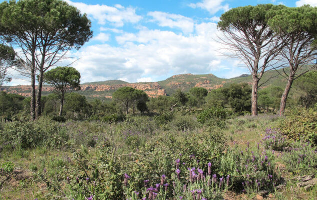 Villa Matisse - Photo 35